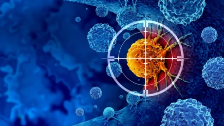 Advancing precision oncology: Integrating AVI-PDX and patient-derived organoid technologies for enhanced preclinical modeling in immuno-oncology