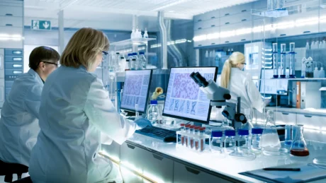 Coupe frontale de l’articulation fémoro-tibiale dans les études de toxicité par voie intra-articulaire