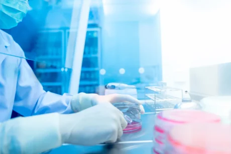 In silico modelling of hemodynamic and autonomic effects of a selective α2-adrenoceptor agonist in beagle dogs by telemetry