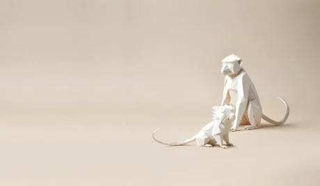 Gestion des triplés et quadruplés nouveau-nés dans un élevage de ouistitis : exemple d’une approche pratique réussie