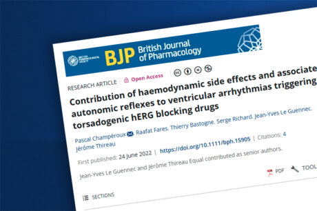 Contribution of haemodynamic side effects and associated autonomic reflexes to ventricular arrhythmias triggering by torsadogenic hERG blocking drugs