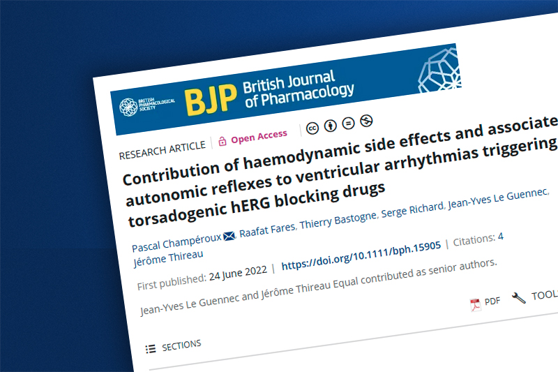 Contribution of haemodynamic side effects and associated autonomic reflexes to ventricular arrhythmias triggering by torsadogenic hERG blocking drugs