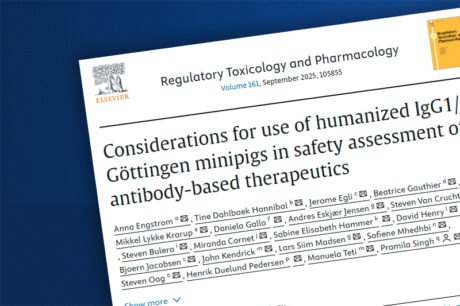 Considerations for use of humanized IgG1/4 Göttingen minipigs